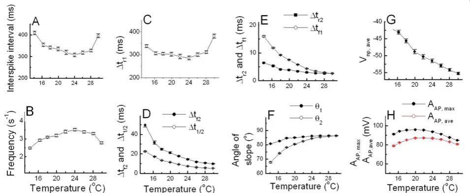 Figure 4 Temperature-dependent AP parameters of burst-firing neurons. The values of ISI (A) and Δtr1(C) decreased and then increased astemperature increase, but frequency (B) and the values of AAP, max and AAP, ave (H) showed the reversed pattern according