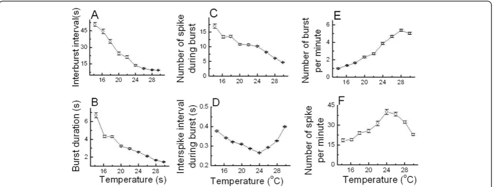 Figure 5 Temperature-dependent bursting patterns of burst-firing neurons.during burstincreased as temperature increased