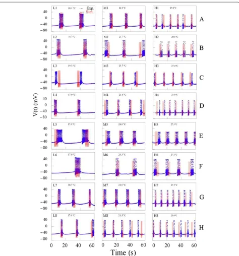 Figure 7 Time series of bursting activity drawn by using the data for the experiments from A to H and computer simulations (A toH from top to bottom panel)
