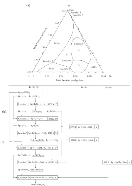 Fig. 9(a) The projection of the liquidus surfaces in the Sb-rich corner in the Fe­Nd­Sb system, calculated using the presentthermodynamic description; and (b) The corresponding predicted reaction scheme for ¸6 phase.