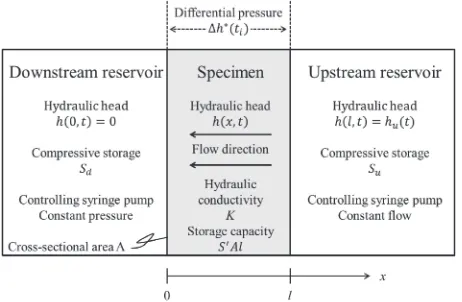 Fig. 1Schematic diagram and the boundary conditions associated with theﬂow pump method.