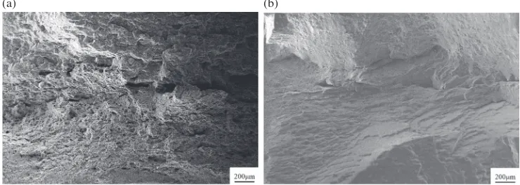 Fig. 11Fracture surfaces for fatigue specimens: (a) TIG welding; (b) vacuum brazing.