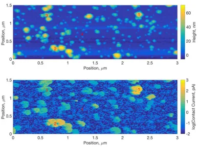 Figure 2.2 PF-TUNA scan of the same region of the Pt-NP/p-Si surface at 0.3 V shown in 