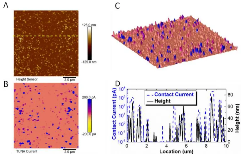 Figure 2.4. Topography and TUNA current for Pt nanoparticles electrolessly deposited onto 