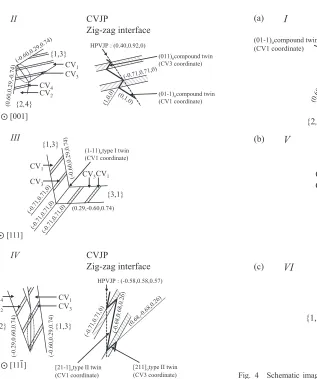 Fig. 4Schematic images of HPV cluster (I, V and VI), (image of CVJPrepresent dashed line circled area of HPV cluster).