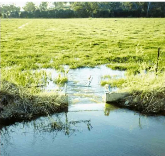 Figure 3: Border Check Irrigation. Source: Amaya 2000  