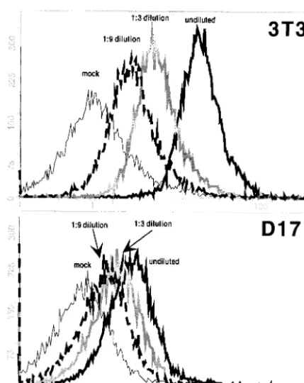 FIG. 2. Sequence of G100R mutant compared with that of 4070A. The mature SU is shown as an open box with general features noted