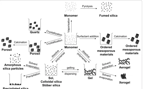 Figure 1 Polymerization of silicic acid molecules throughformation of siloxane bond and water.