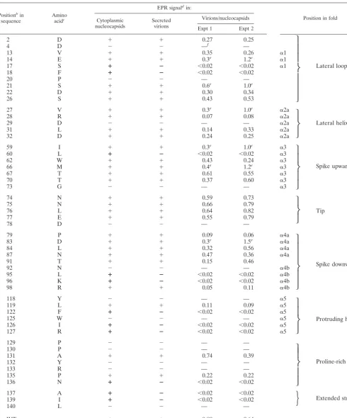 TABLE 1. Genotypes and phenotypes of 52 single-point mutations in the HBV core genea