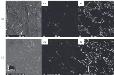 Fig. 8The observed microstructures of semisolid die cast specimens after various temperature of solution treatments for 2 h: (a) 500°C,(b) 470°C and (c) 450°C.