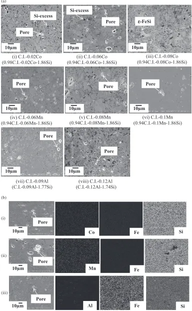 Fig. 3(a) SEM photos on microstructures of the annealed ¢-FeSi2 samples at 900°C for 6 d, (b) SEM image and EDX result of (i) C.I.-0.06Co (0.94C.I.-0.06Co-1.86Si), (ii) C.I.-0.08Mn (0.94C.I.-0.08Mn-1.86Si) and (iii) C.I.-0.09Al (C.I.-0.09Al-1.77Si) of the annealed¢-FeSi2 samples prepared utilizing cast iron scrap chips.