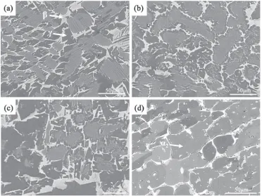 Fig. 1SEM images (BSE mode) of the Ti-45Al-3Fe-2Mo-xSi alloys: (a) Ti-45Al-3Fe-2Mo, (b) Ti-45Al-3Fe-2Mo-0.3Si, (c) Ti-45Al-3Fe-2Mo-0.5Si and (d) Ti-45Al-3Fe-2Mo-1Si