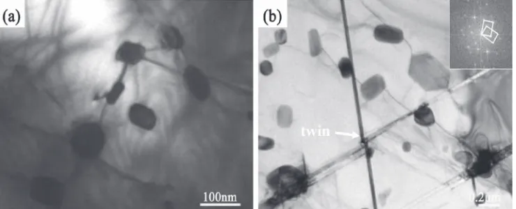 Fig. 5TEM images of the Ti-45Al-3Fe-2Mo-1Si alloy deformed at 800°C with strain rate of 10¹2 s¹1: (a) the interaction between theTi5Si3 particles and the dislocations; (b) the interaction between the Ti5Si3 particles and the twins.