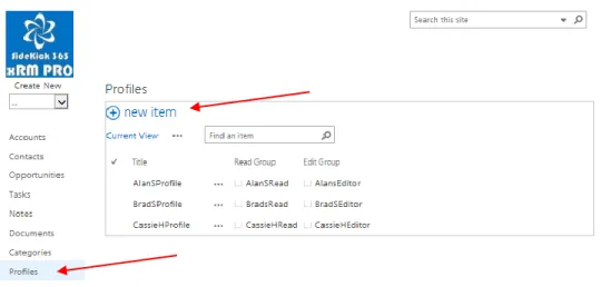 Illustration 2 – List of Security Profiles   When you add a new security profile, you must add values into all fields: 