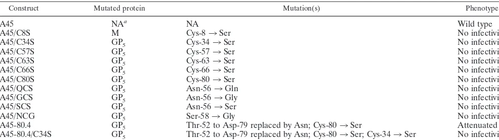 TABLE 2. Composition of the GP5 and M proteins of the EAV constructs