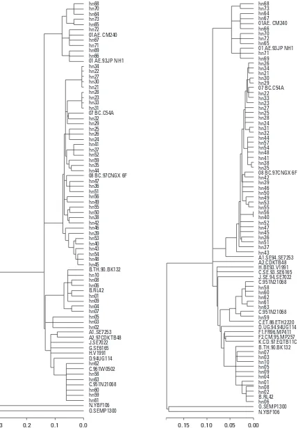 Fig. 2.Phylogenetic analysis of the HIV-1 gag P24 coding region of samples fromHenan. We get all 53 non-B’subtypes and choose 10 B’subtype.