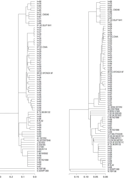 Fig. 2.Phylogenetic analysis of the HIV-1 gag P24 coding region of samples fromHenan. We get all 53 non-B’subtypes and choose 10 B’subtype.