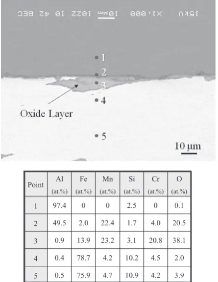 Fig. 10　Magnifed SEM micrograph with EDS analysis results of inter face structure in preheated fber composite
