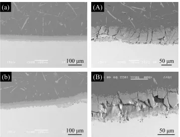 Fig. 12　Magnifed SEM micrograph showing the fber/matrix interface in the furnace cooled composites, (a) and (b); before rolling and (A) and (B); after rolling of R =  20%