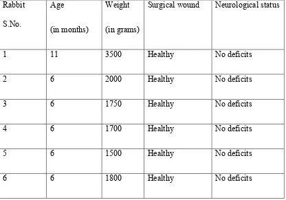 Table 9: List of rabbits sacrificed at 1 month: description of the demographics 