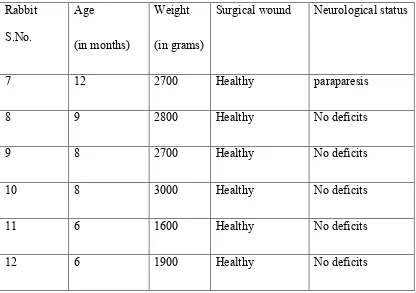 Table 10 : List of rabbits sacrificed at 3 month: description of the demographics 