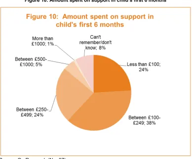 Figure 10: Amount spent on support in child’s first 6 months   