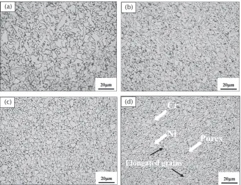 Fig. 3　OM morphology observations of Cr50Ni50 alloys by hot-press sintering at different pressures (a) 12 MPa, (b) 24 MPa, (c) 36 MPa, and (d) 48 MPa.