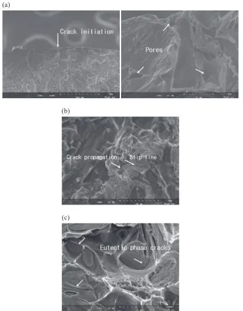 Fig. 12　SEM micrographs showing fatigue crack initiation and propagation at 200°C in the A319 castings, (a) crack initiation at pores, (b) crack propagation for 22 μm DAS alloy and (c) eutectic cracks for 70 μm DAS alloy.