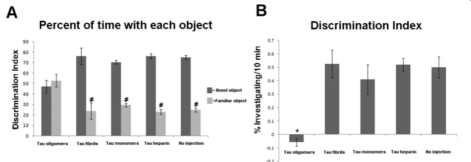 Figure 1 Experimental design and characterization of tau samplesand PBS, a second group injected with tau fibrils and PBS a third group injected with tau monomers and PBS, and a fourth group injected withtau heparin fibrils and PBS used as a control (*)