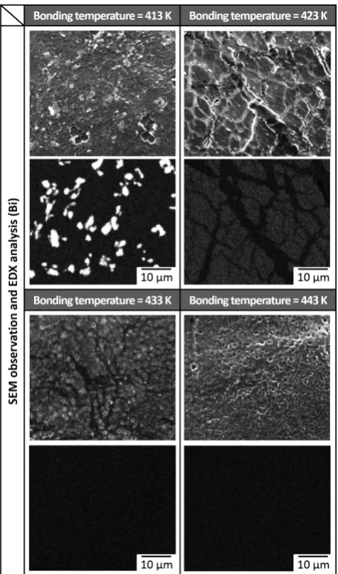 Fig. 8　SEM micrographs of the bonded interfaces (without fller metal).