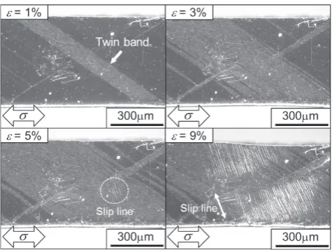 Fig. 8　Optical micrographs showing slip bands on the top surface and side surface of the specimen c-axis.