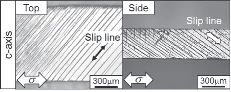 Fig. 13　Optical micrographs showing slip band of (2201) [¯1¯120]¯ and (0221) [¯2110]¯ systems on a2-axis specimen tested at 423 K.