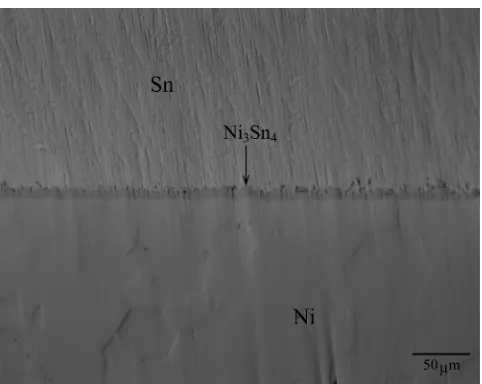 Fig. 2　Concentration profles of Ni and Sn across the intermetallic layer along the direction normal to the original Ni/Sn interface for the diffusion couple annealed at T =  583 K for t =  3.6 ks (1 h).