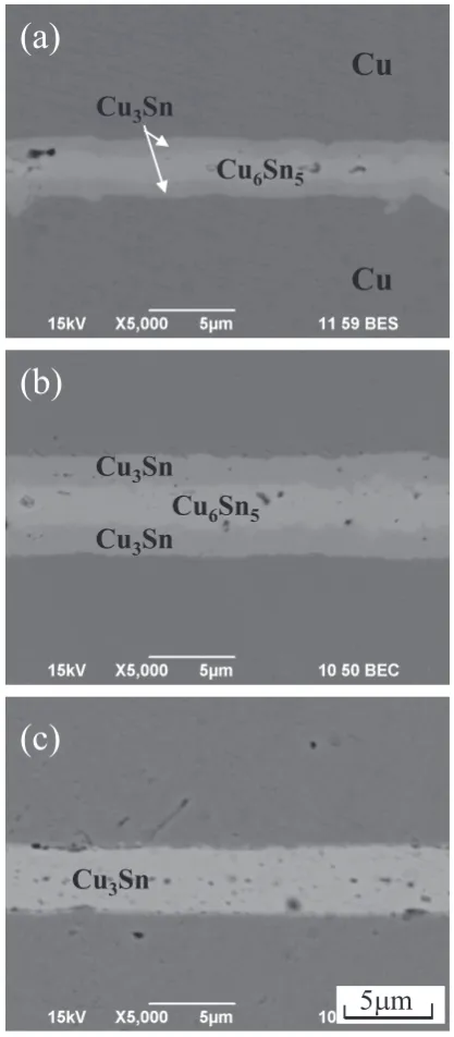Fig. 2　Growth of IMC bond layers using deposited Sn coating (Design-A) at bonding times of (a) 300, (b) 600, and (c)1800 s