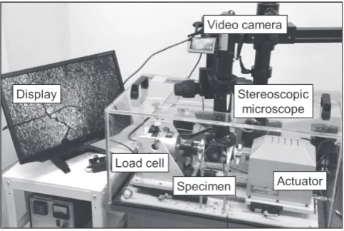 Fig. 4　1/2 model for FEM analysis.