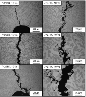 Fig. 11　Optical micrographs showing fatigue crack propagation for each test condition.