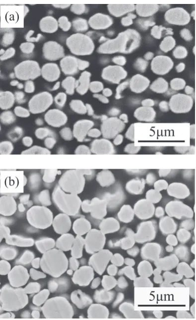 Fig. 6　Cross-sectional SEM image with higher magnifcation of the adhe-sive with no surfactant cured at 453 K for 1 h.