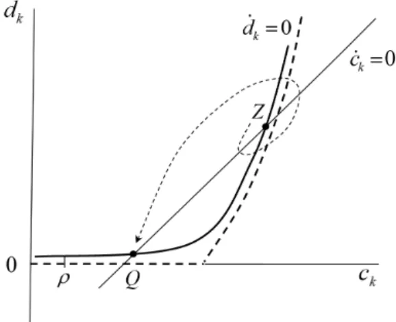 Figure 5: Phase portrait under regime R 1 (θ > 0)