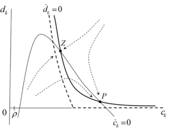 Figure 6: Phase portrait under regime R 2 (θ > 0)