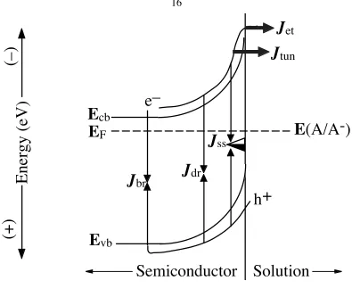 Figure 1.3