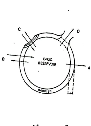 Figure no.1. 