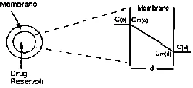 Figure3. Schematic representation of a matrix release system 
