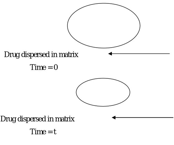 Figure 4: Representation of a Bioerodible matrix system. 