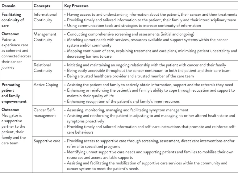 Table 2: Professional Navigation Framework (adapted from Fillion et al., 2012)