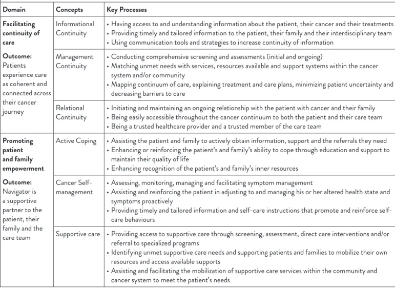 Table 2: Professional Navigation Framework (adapted from Fillion et al., 2012)