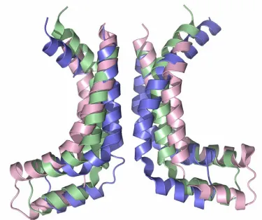 Figure 2.8. The diagram above illustrates the difference in translocation pathways (showing the  coupling helix and the two helices on either side) between MetI (pink), ModB (green), and MalFG  (blue)