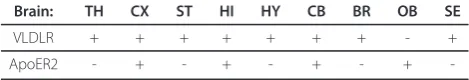 Table 1 Expression of VLDLR and ApoER2 in mouse organs. +/-, +, and ++ represent increasing levels of expression[2,18]