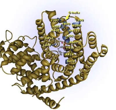 Figure 5. Homology structure of (+)-δ-cadinene (modeled on the crystal structure of 