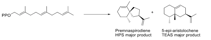 Figure 10. Cyclization of FPP to give two representative products. 
