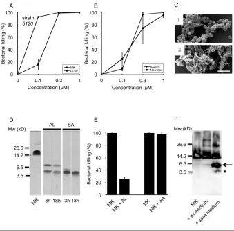 Figure 3. Bactericidal activity of MK against S. aureus is impaired by AL but not SA. (A) MKrated by SDS-PAGE and the fragmentation pattern is visualized by Coomassie staining